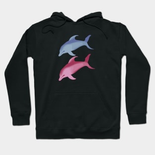 Blue and Pink Hoodie